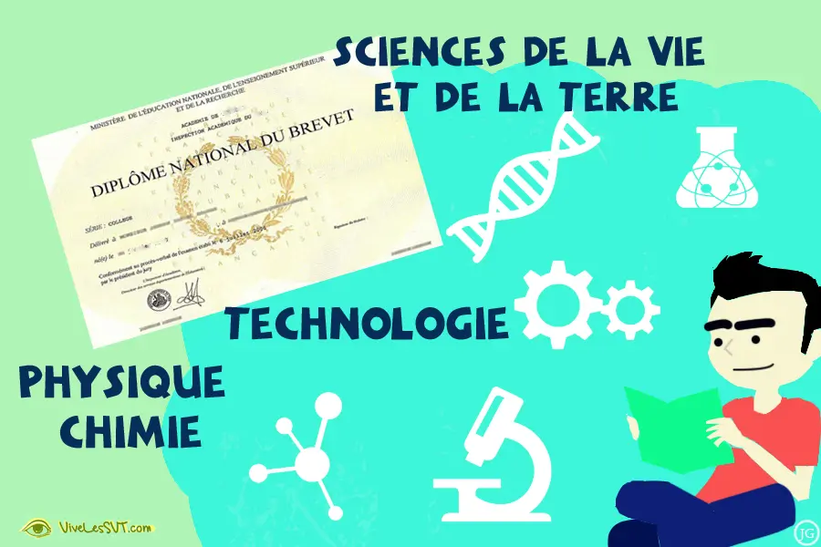 DNB-Brevet-epreuves-de-sciences-de-la-vie-et-de-la-Terre-SVT-physique-chimie-technologie.webp